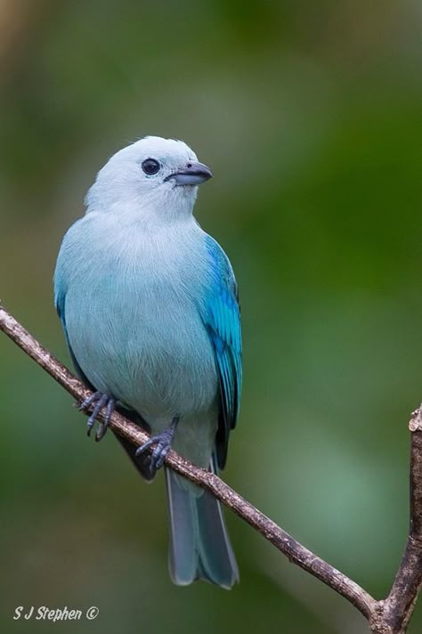 1848609670aa76d2dfef68dcf3dff8bf