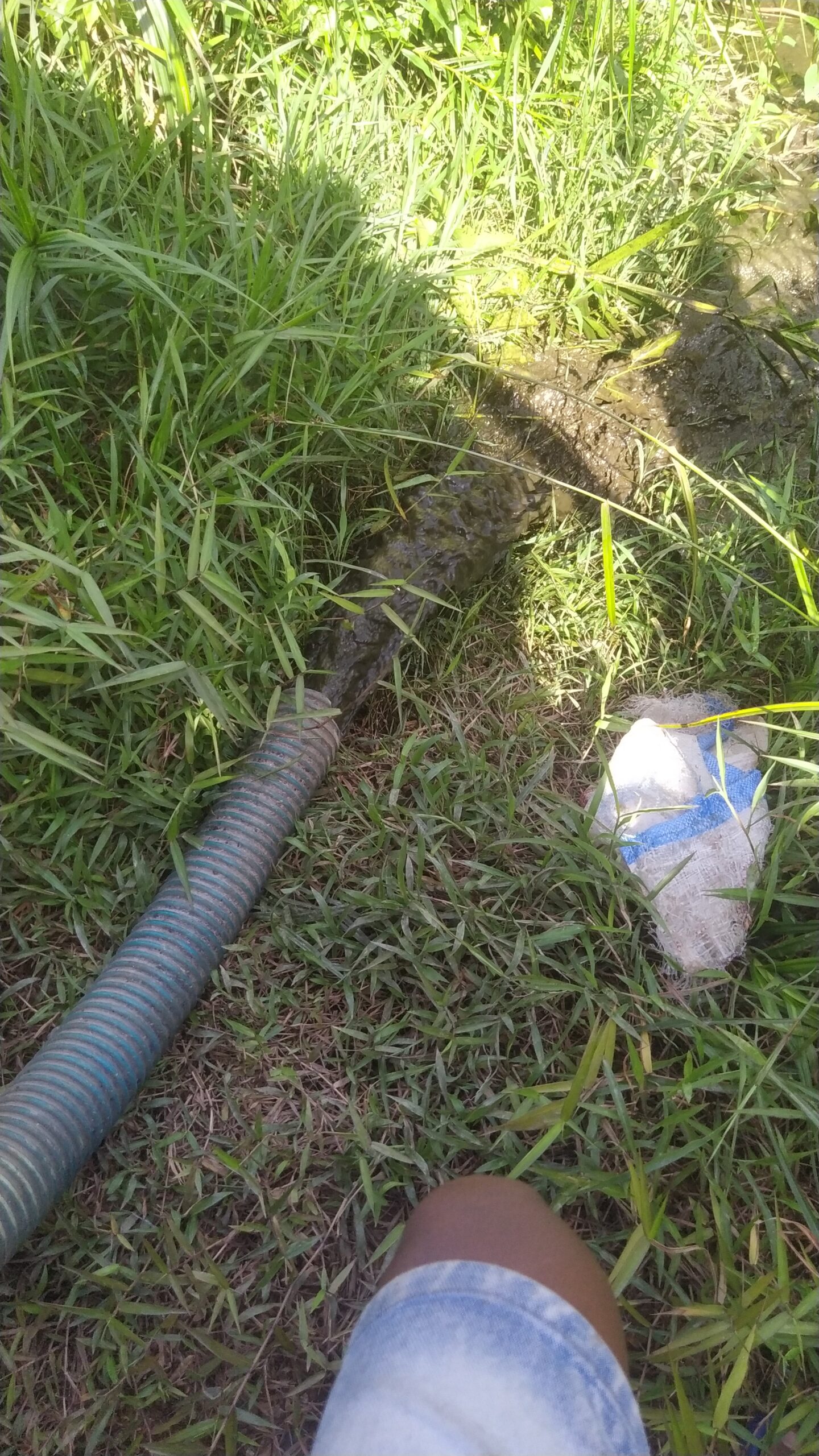 SEDOT WC PONTIANAK img 20250918 wa0020