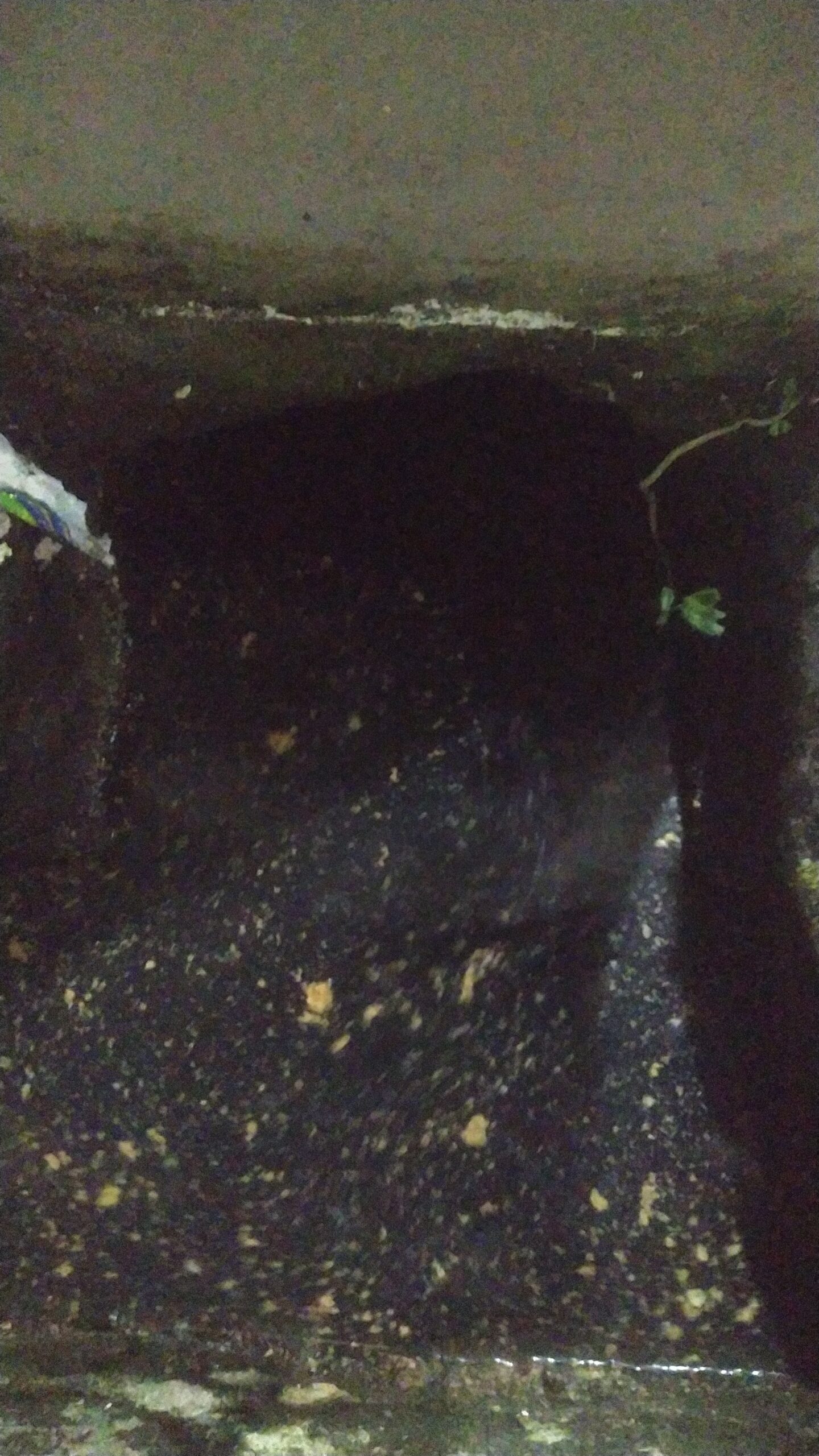 SEDOT WC PONTIANAK img 20251216 wa0007