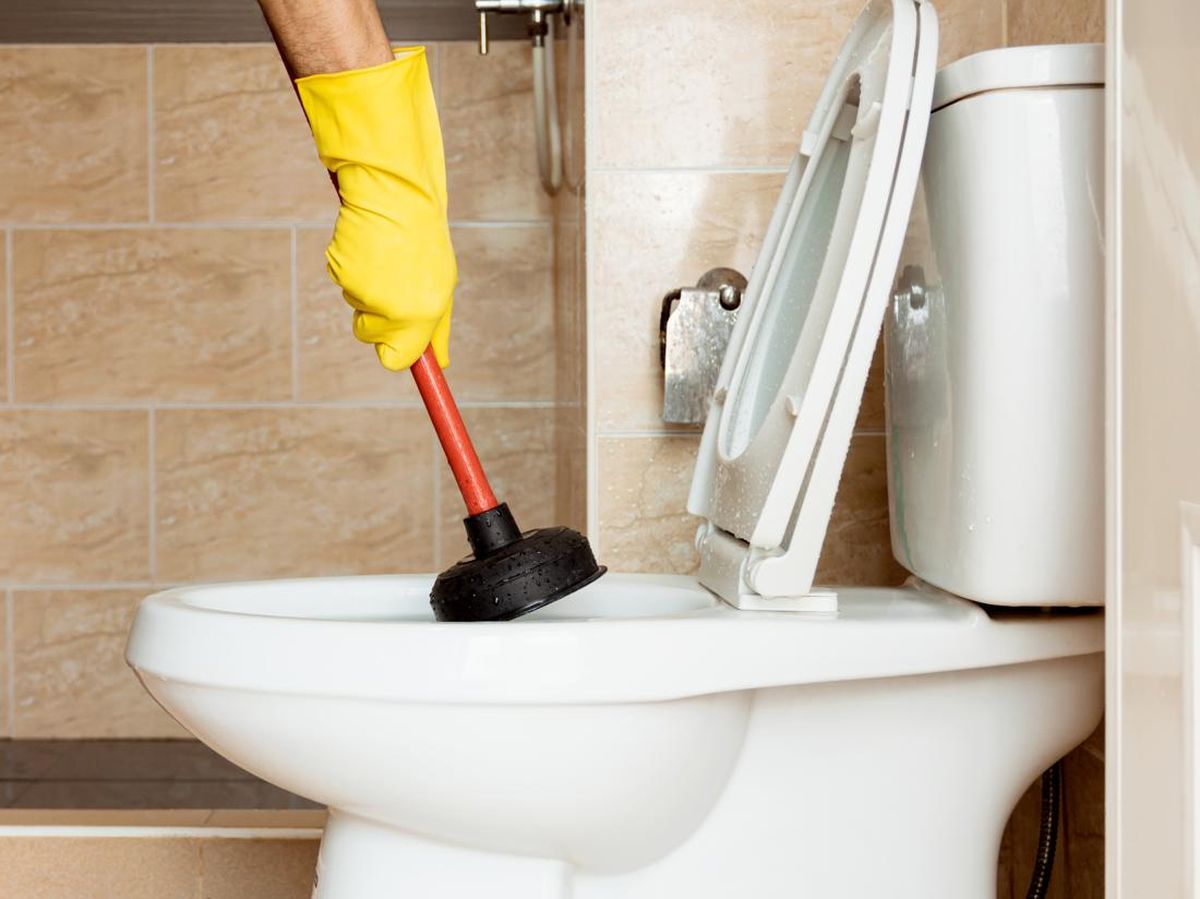 mengatasi wc mampet 43